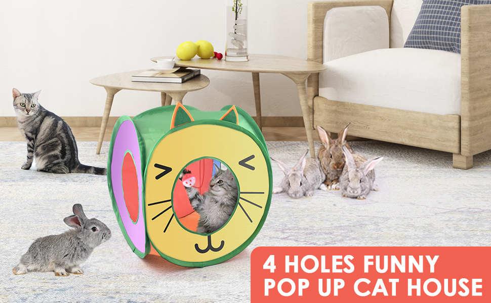 cat hideout