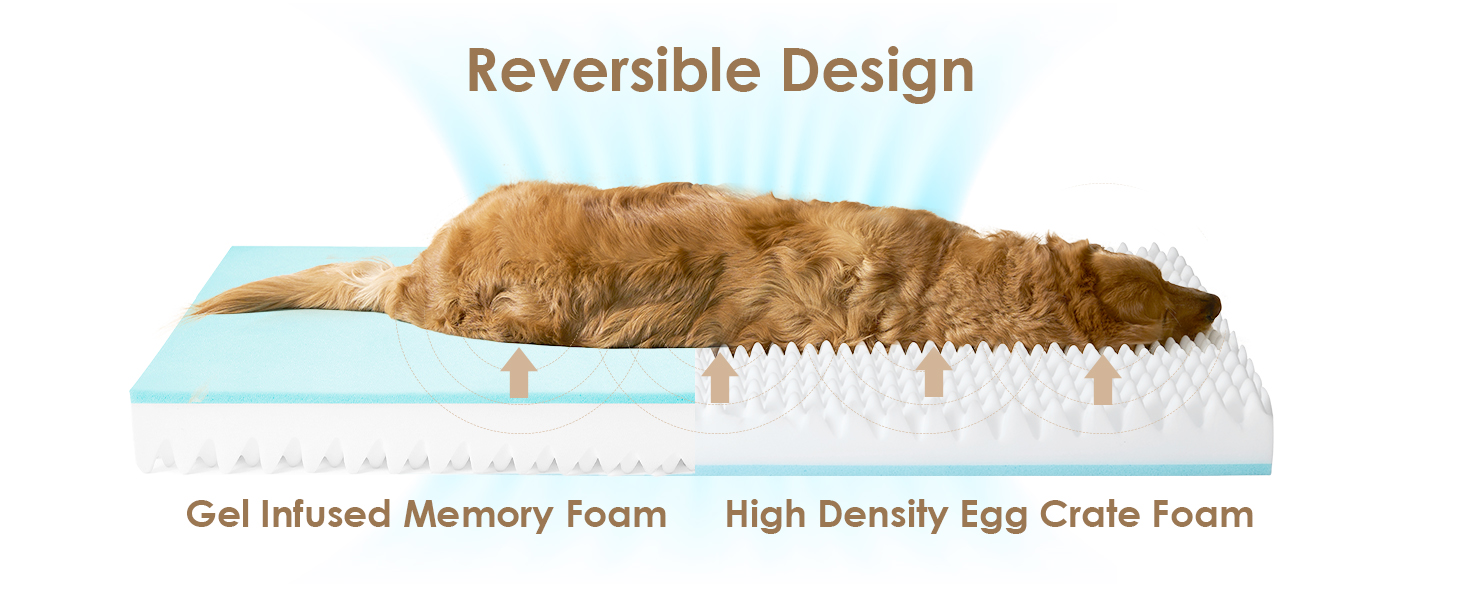 dog sofa
