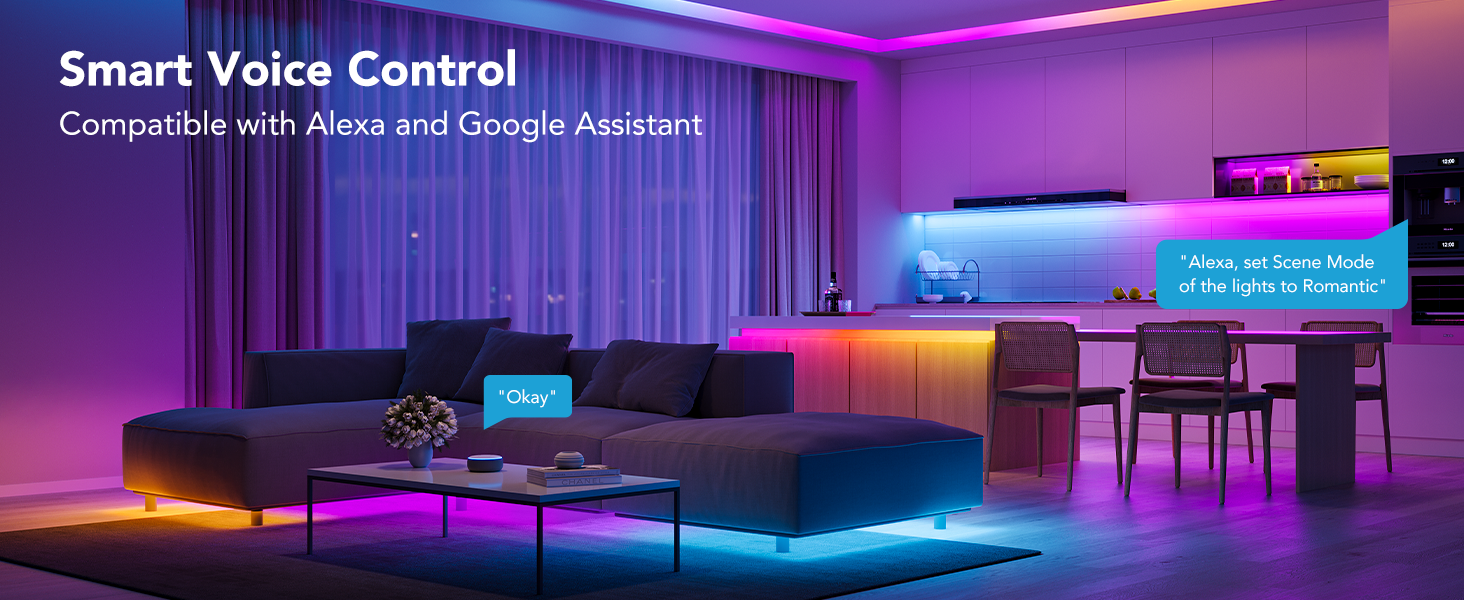 H618X Voice Control