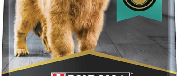 1742598167_71Na1nhsvtL._AC_SL1500_.jpg