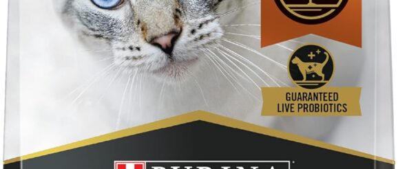 1742928896_71qNGzqnl4L._AC_SL1500_.jpg