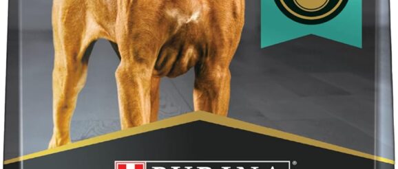 1742980572_71wuZyBDzeL._AC_SL1500_.jpg