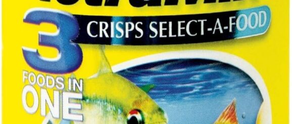 1743083696_81ersjqlkmL._AC_SL1500_.jpg