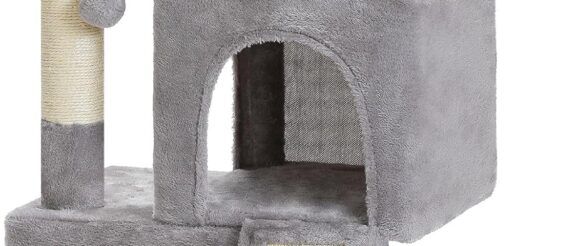 1743252286_81L12CSdYVL._AC_SL1500_.jpg