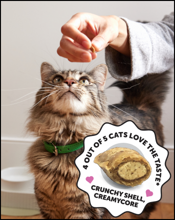 multivitamins for cats