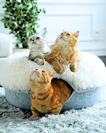 CATTASAURUS Calming Donut Tunnel Cat Cave, Cat Donut, Cat Tunnel