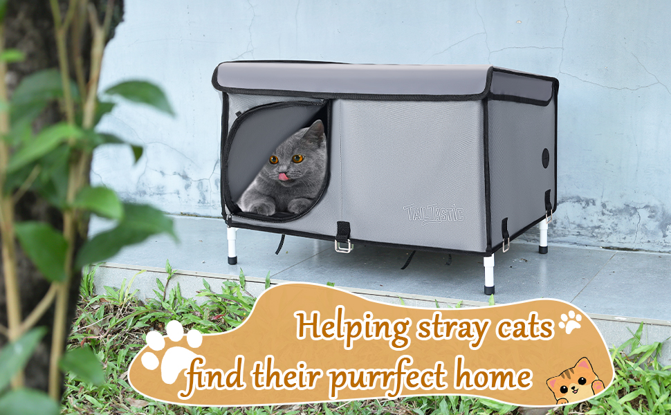 outdoor cat house