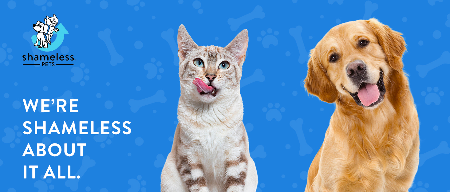 Dog Treats Dogs Treat Chicken Bones Small Bone Jerky Soft Large Milk Free Chews Training Natural