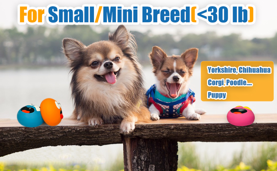 small squeaky dog toys