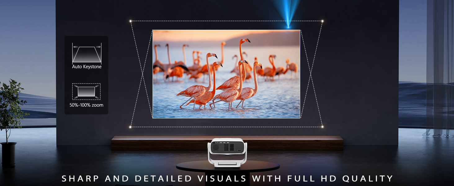 mini projector