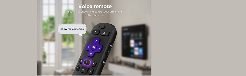 Voice Remote