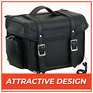 Daniel Smart cooler sissy bar bag have attractive design
