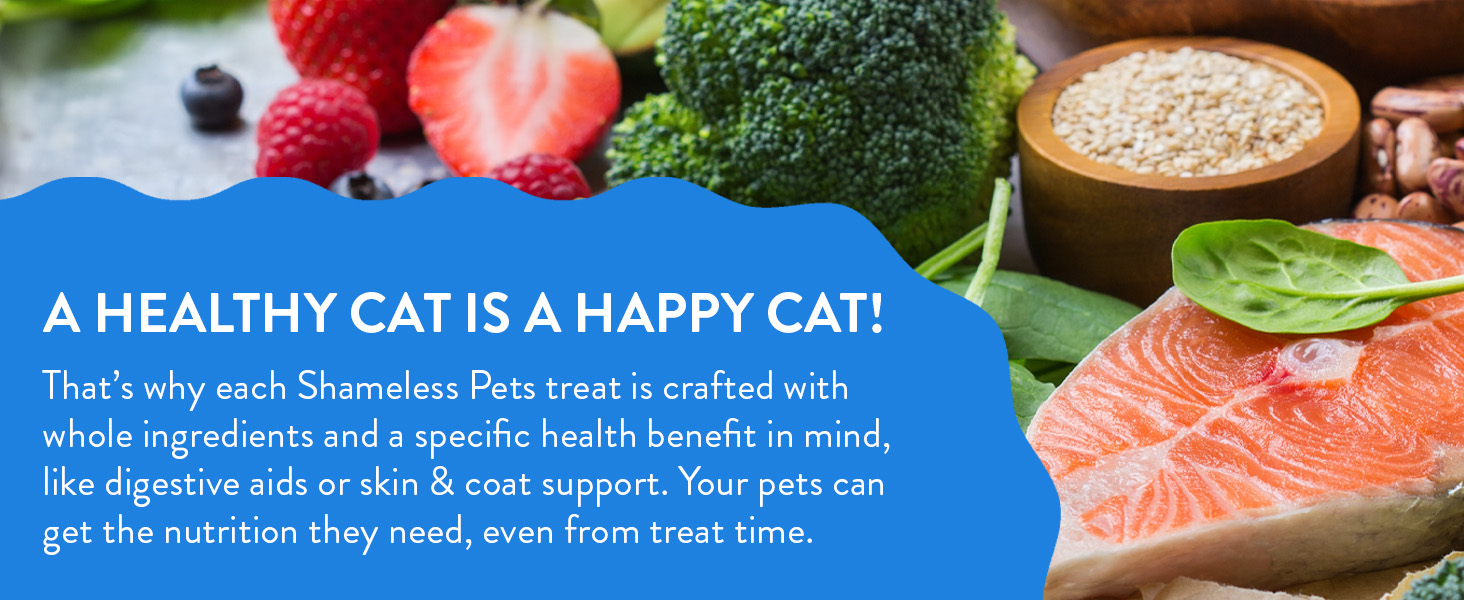 Stuff Ball Litter Best Dairy Crunch Milk Senior Organic Moist Box Large Training Amazon Kittens Big