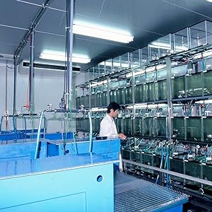 Lab