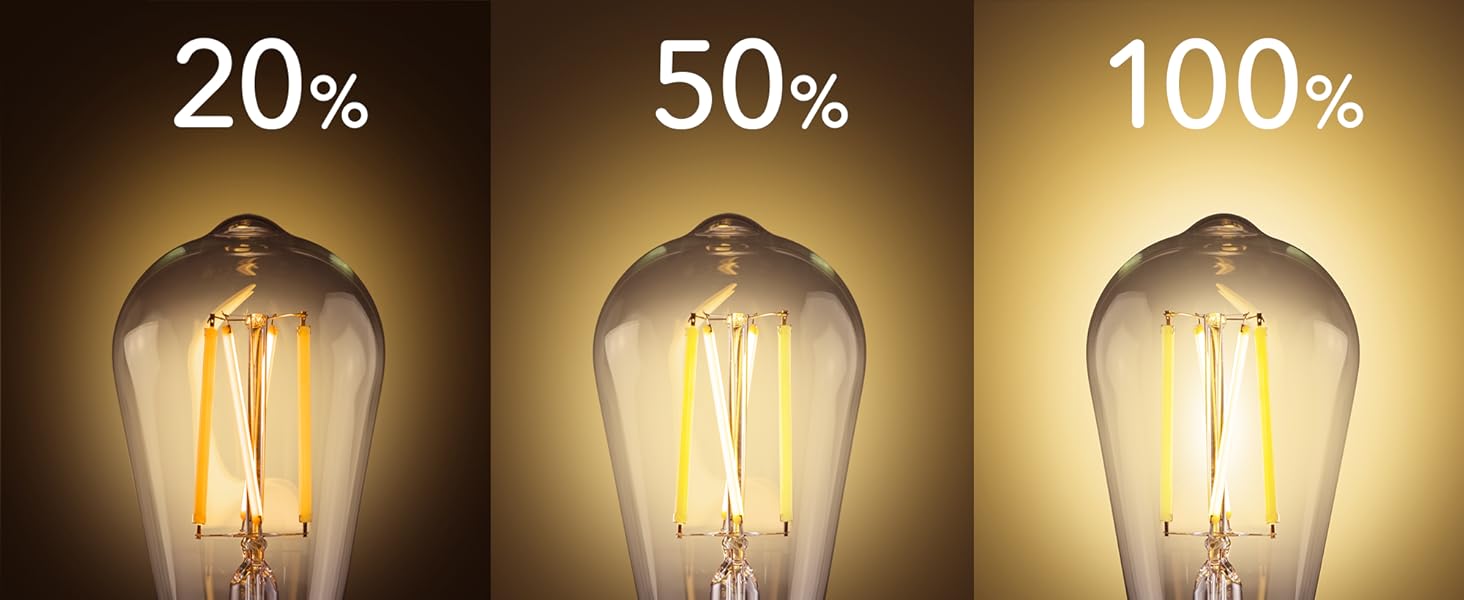 Edison Smart LED Light Bulbs in Household Supplies