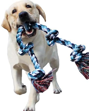 dog rope toys