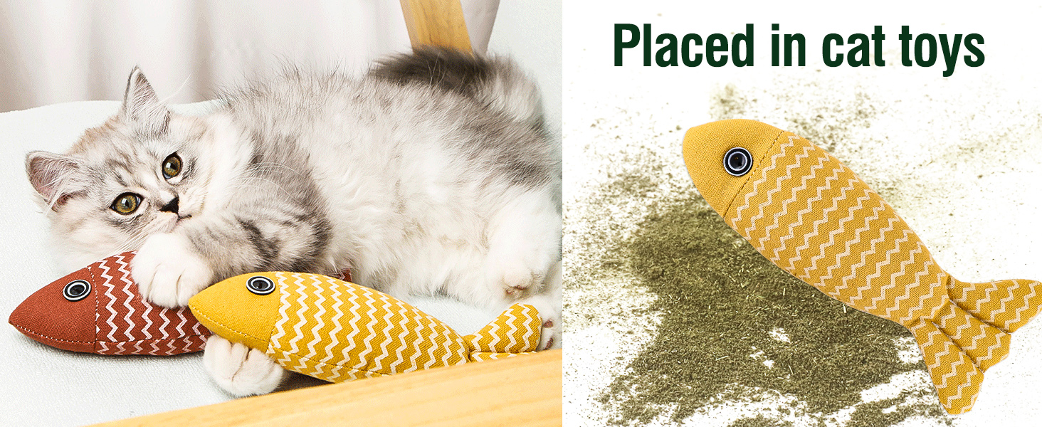catnip toys