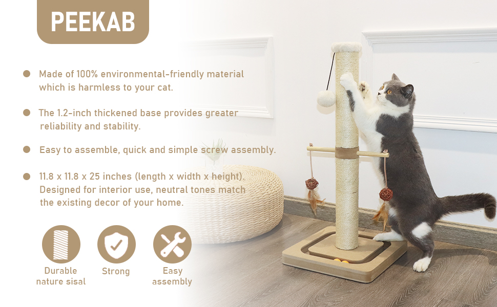 cat scratching post