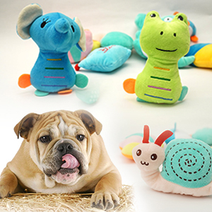Dog Chew Toys