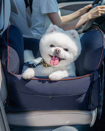 dog car seat