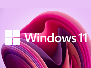 W11