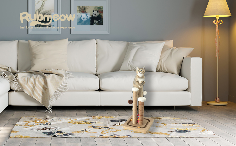 cat scratching post