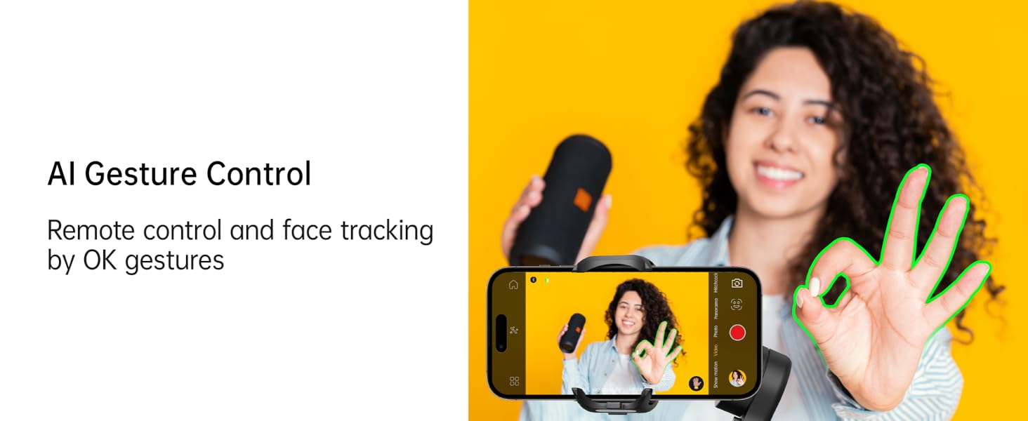 Gesture Control
