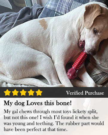 5 Star Review