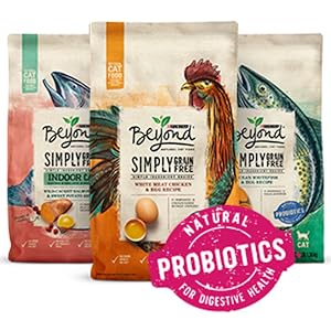Three bags of Beyond dry cat food, including chicken, salmon and whitefish recipes.