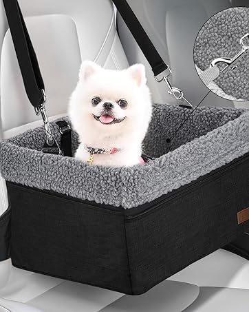 black dog car seat