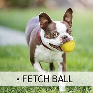 Kimee Indestructible Dog Ball
