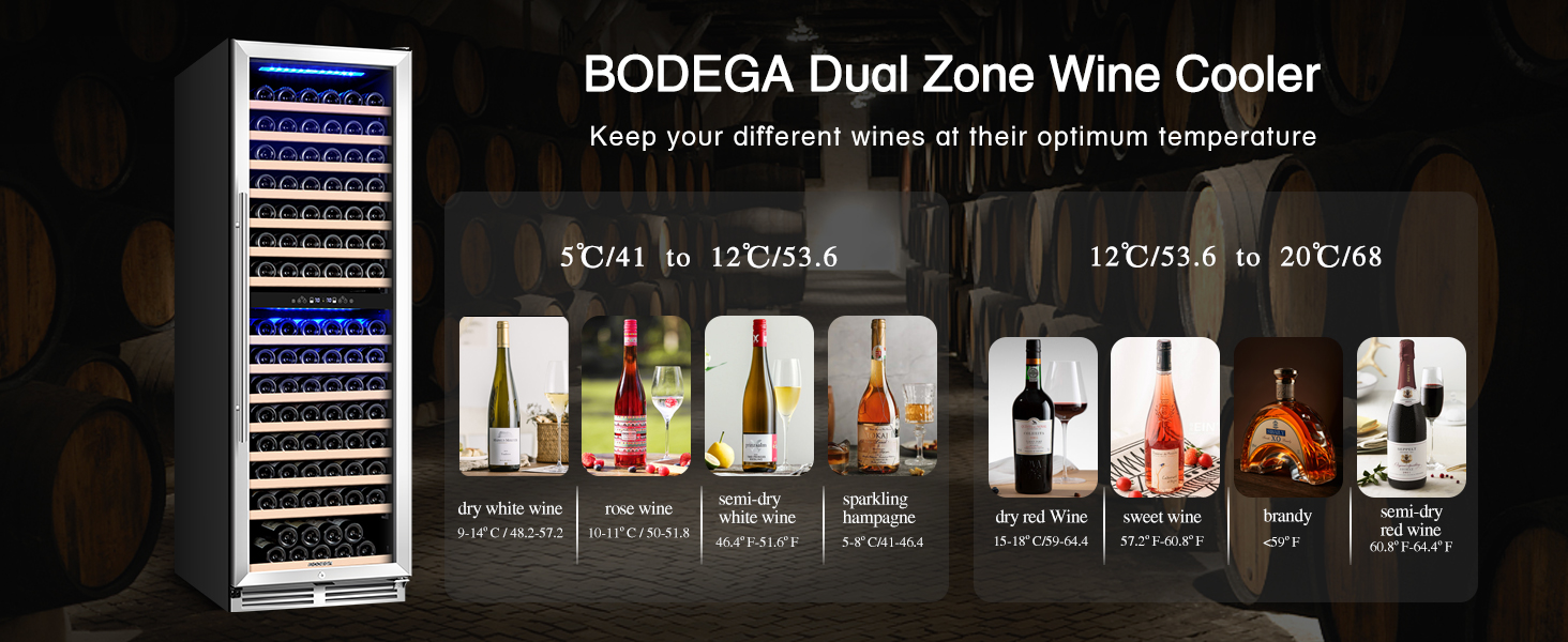 BODEGA Wine Cooler Refrigerator 24 Inch