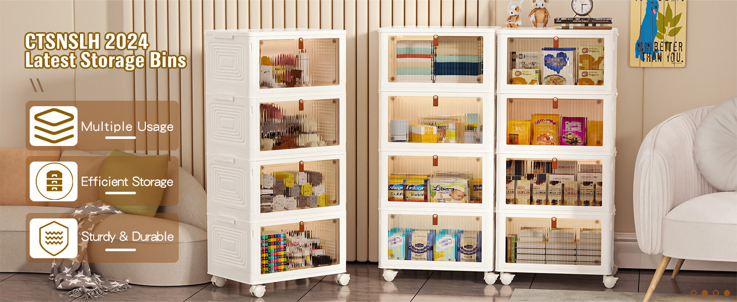 storage bins organizer