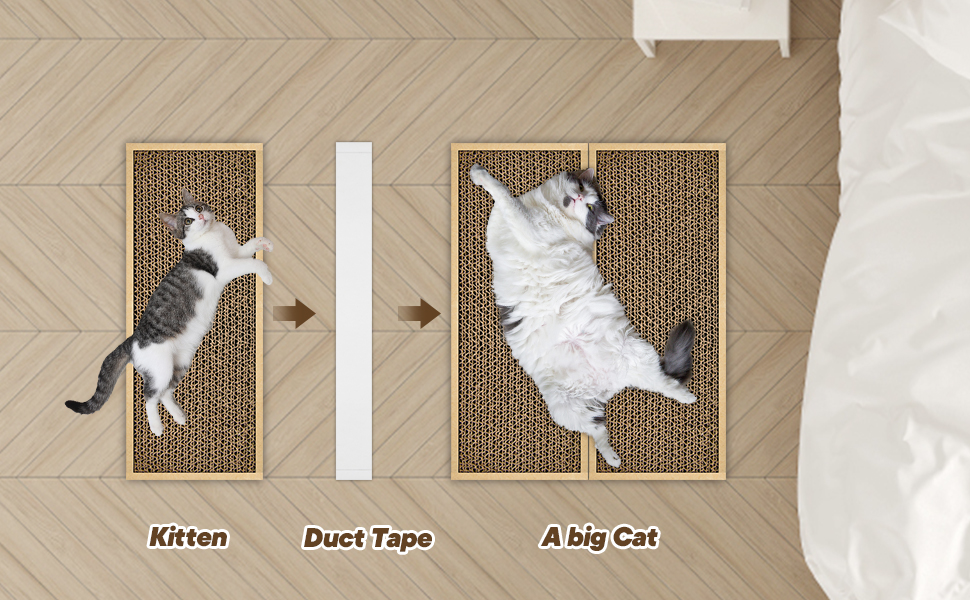 Cat Scratching Post for indoor cats
