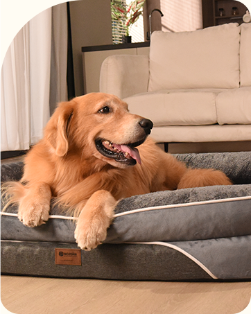 washable orthopedic dog bed