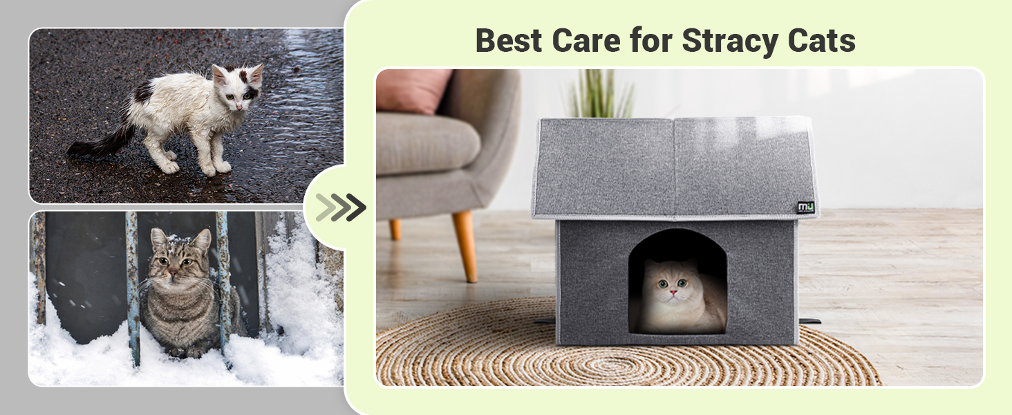 cat house winter 6