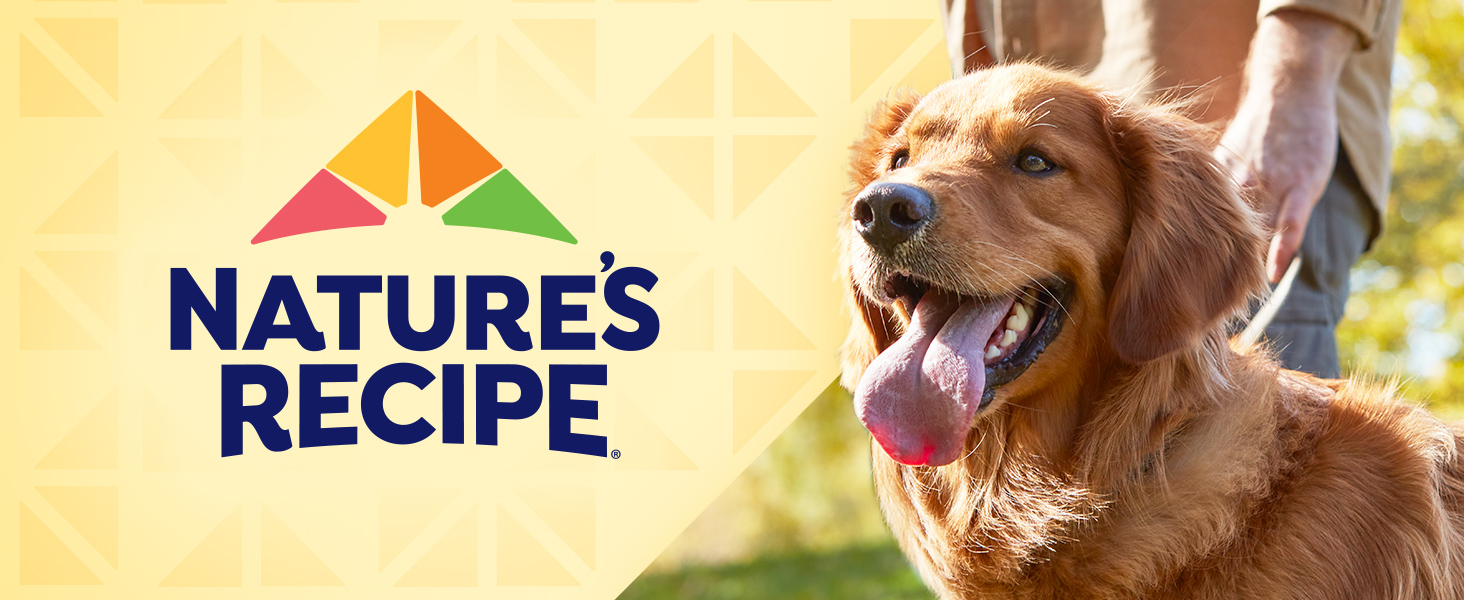 Natures Recipe Dog Food 