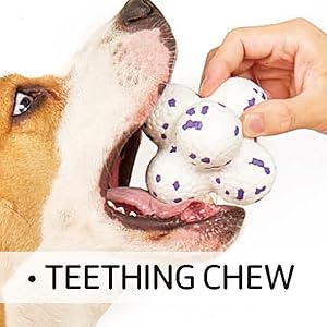 Kimee Indestructible Dog Ball