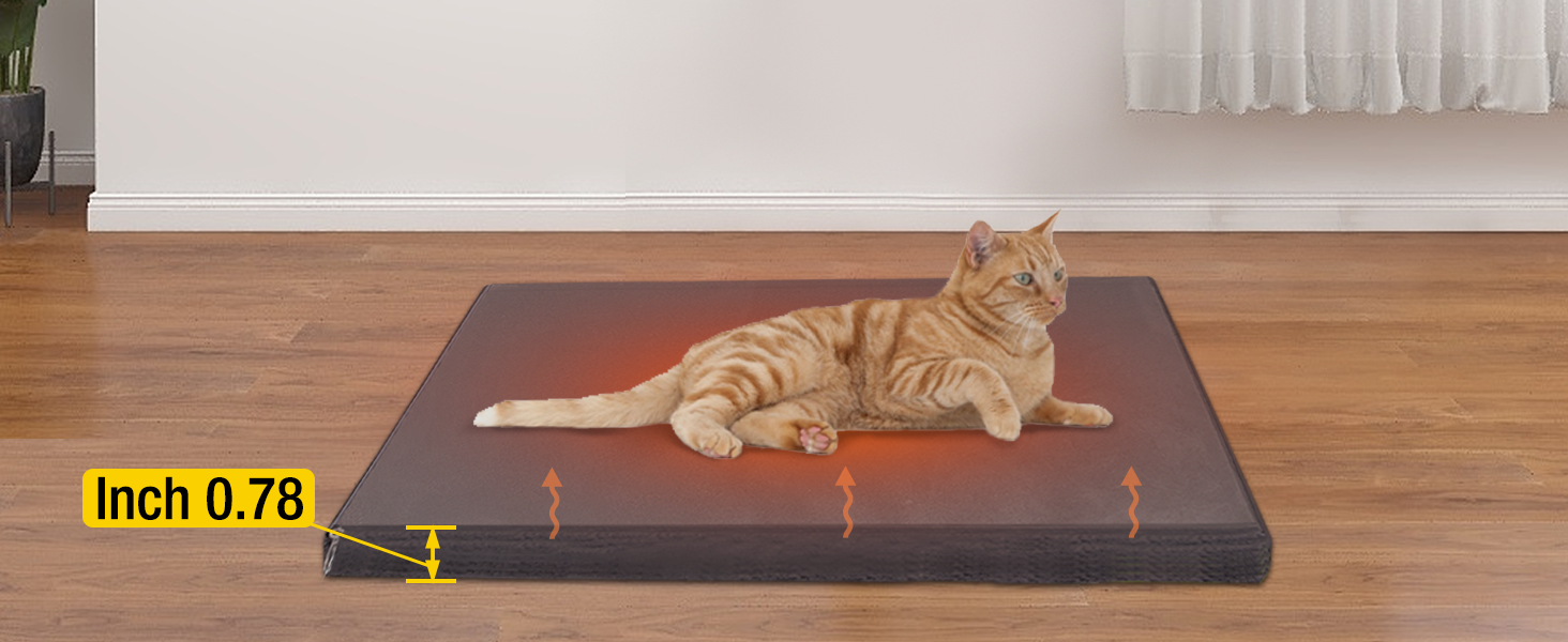 heated cat house for outdoor cats