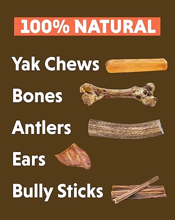 Dog treats, Pet chews, dog bones 