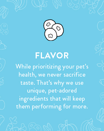 Cleaning Medium Puppy Mint Fresh Wag Breed Green Free Pet Bulk Snacks Food Puppies Best