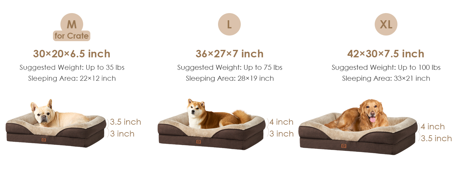 dog sofa