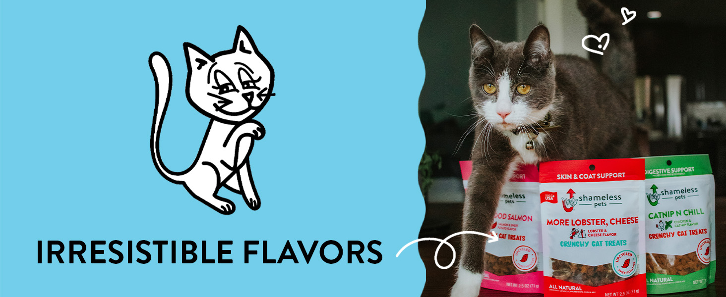 Delectable Fish Mixups Nip Bites Pate Shrimp Tasty Gravy Tub Toys Jumby Creamy Bisque Classic 