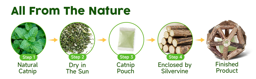 catnip cat toys