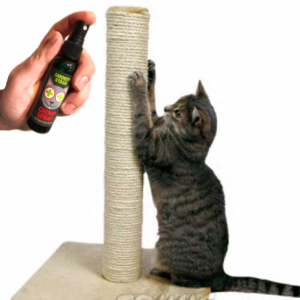 training scratching post