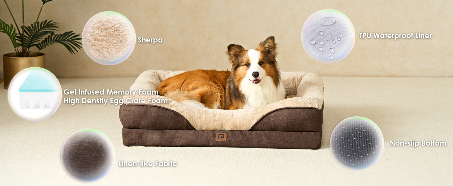 dog sofa