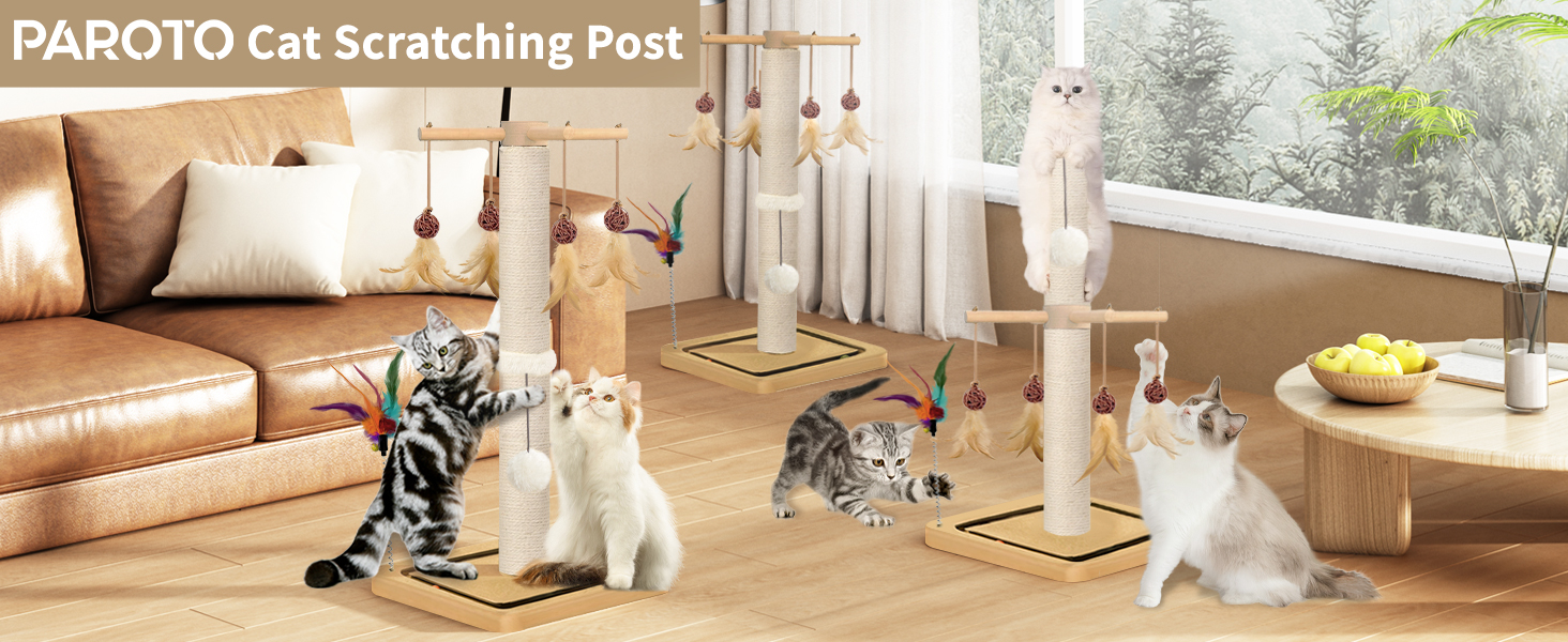 cat scratching post