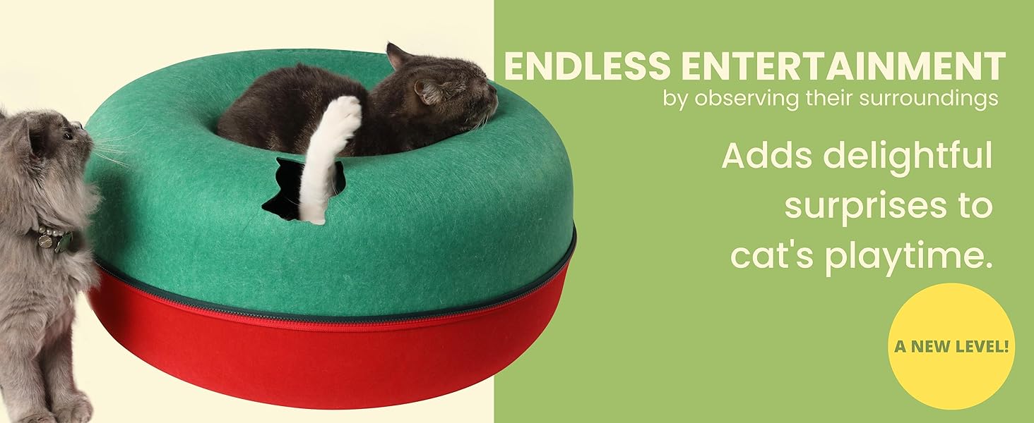 Endless entertainment by peephole peekaboo cat cave