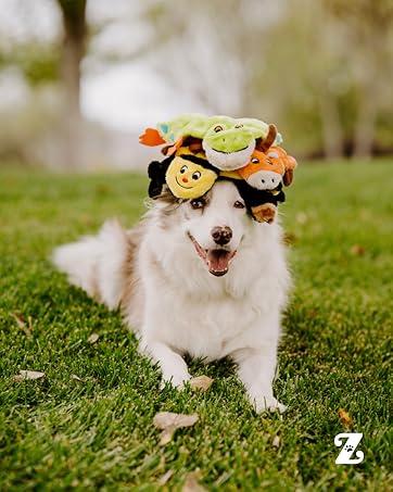 Designed by dog people, for dog people