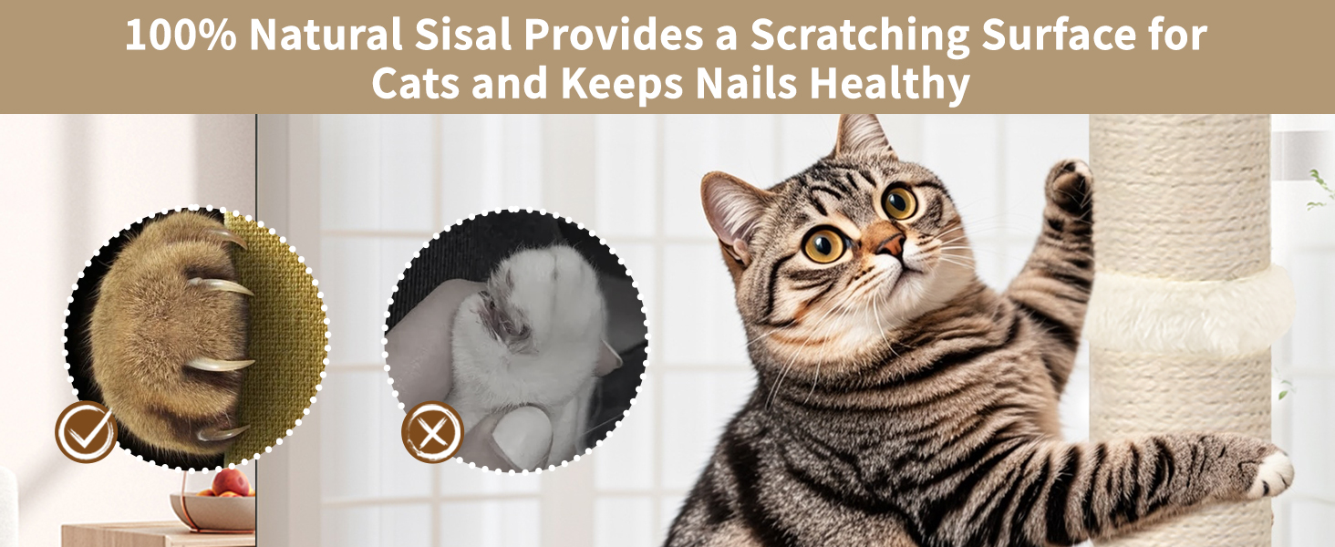 Cat Scratching Post